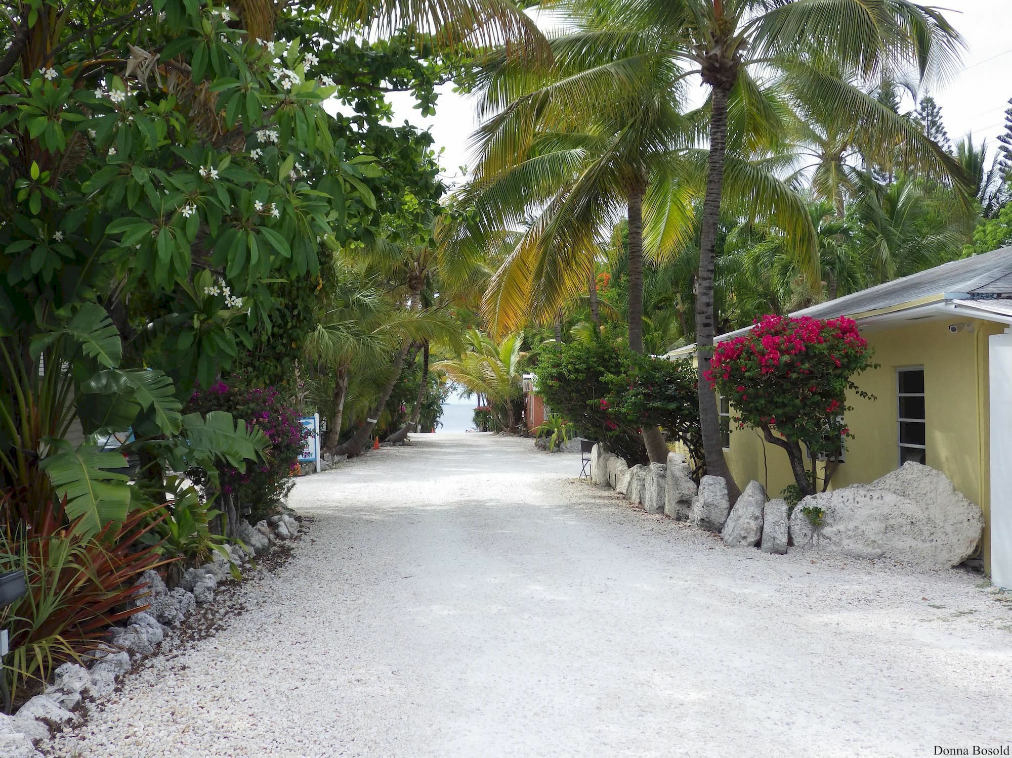 Inn The Pelican